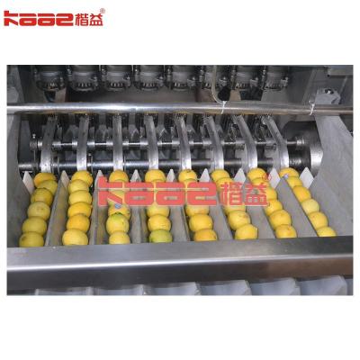 China Oranges Mandarins Tangerines Lemons Cup-Type Of Juice Extractor zu verkaufen