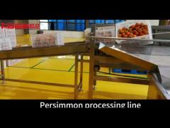 Dried Persimmon Processing Line Machine