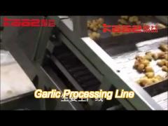 Fully Automatic Garlic Processing Line Slicer Powder Drying Processing Line