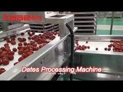 Industrial Dates Processing Machinery Dates Drying Machine 20t/Hr