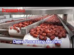 20t/H Dates Processing Line Low Temperature Vacuum Concentrate Dates Processing Machinery