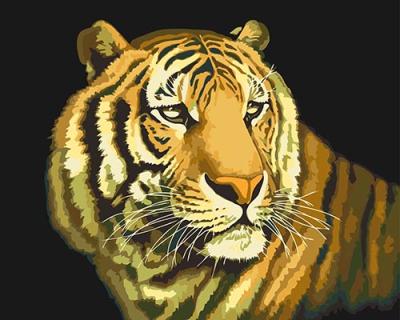 China Abstract Painting By Numbers DIY Oil Painting On Canvas Home Decoration Tiger 40x50cm (16x20 inch) for sale