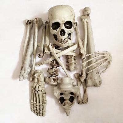 China Disposable Halloween Horror Skeleton Decoration Props Simulation Human Skeleton Costume for sale