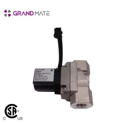 China General Safe Device Electronic Natural Gas Lpg Solenoid Valve for sale