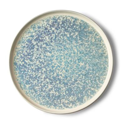 China 11 Inch Shinny Stoneware Material Disposable Organic Shape In Reactive Glaze Ceramic Dinner Dishes for sale