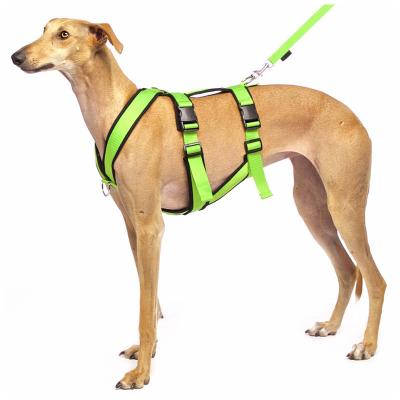 China Custom Professional Adjustable Greyhounds Dog Chest Body Belt Harness From Manufacturer for sale