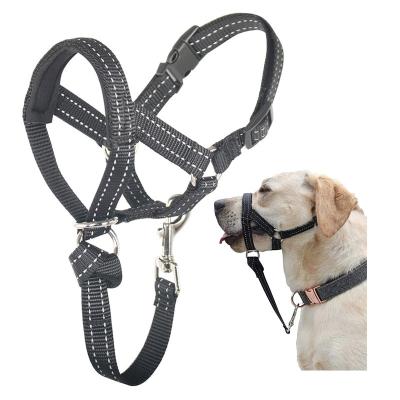 China No Reflective Pulls Adjustable Reflective Nylon Dog Head Halter Headcollar With Gold Hardware for sale