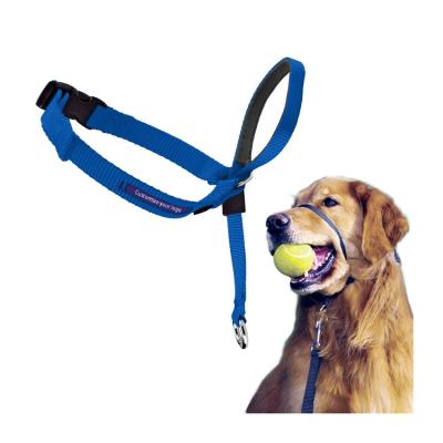 China 2021 Custom Padded Hot Selling Adjustable Standard No Pull Neoprene Padded Dog Head Harness Halter Head Control Dog Collar or Leads for sale