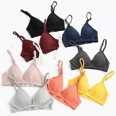 China Top Selling Women's Bra Comfortable Wireless Seamless Japanese Girls Bra Sets Colorful Underwear Antibacterial for sale