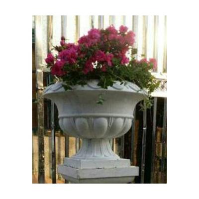 China Plastic European Style Garden Concrete Plant Flower Pot Molds Sale for sale