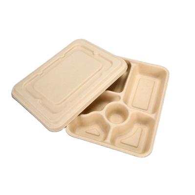 China 100% Biodegradable Compostable Bagasse Disposable Surgar Cane Food Tray 6 Compment Sushi Trays With Lid for sale