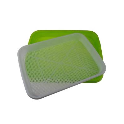 China Healthy Home Kitchen DIY Bean Sprouts Culture Plastic Tray Hydroponics Seed Tray for sale