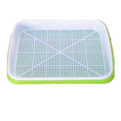 China 2021 Healthy Feed Indoor Hydroponic Green Seedling Trays Micro Green Growing Trays Tray For Home Growing Hydroponic Systems for sale