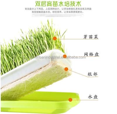 China 2021 Micro Green Healthy Growing Tray For Home Growing Hydroponic Systems Feed Trays Indoor Hydroponic Seedling Trays for sale