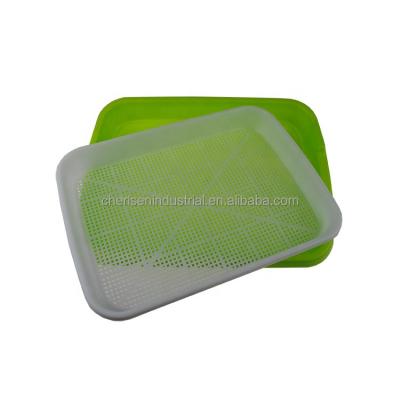 China 2021 Healthy Micro Green Tray For Home Growing Hydroponic Trays Indoor Hydroponic Seedling Trays Forage Trays for sale