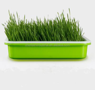 China Eco-friendly Plastic Growing Trays Microgreen Home Growing Tray Fodder Trays Seed Planting System Seed Spout Tray Best Price Plant Hydroponic for sale