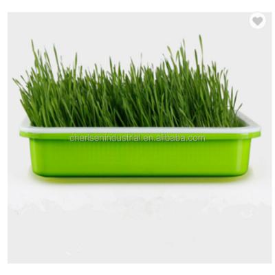 China Eco-Friendly Plastic Planting Trays Hydroponic Seed Seeding Trays Planting Seed Trays Eco-friendly Plant Hydroponic Growing Trays Forage System for sale