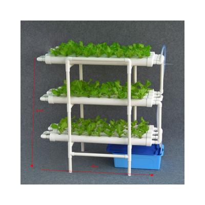 China Good Quality Healthy Growing Systems Hydroponic Farm NFT Greenhouse Smart Hydroponics for sale