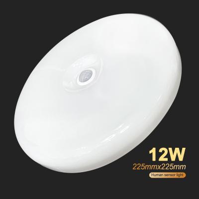 China Outdoor Mounted Best Selling Outdoor 225m 12w 220v Human Body Sensor Light for sale