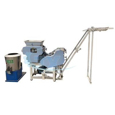 China 500kg pasta noodles making machine commercial maker manufacturer for sale