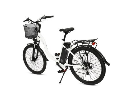 Cina Bici elettrica 20