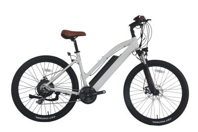 Cina 250w/500w bici elettrica femminile, 26