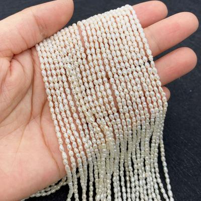 China Natural Freshwater Pearl Bead Necklace Beads 2-3mmA Grade Threaded Rice Pearl Charm DIY Jewelry Necklace Bracelet Earring Accessories for sale