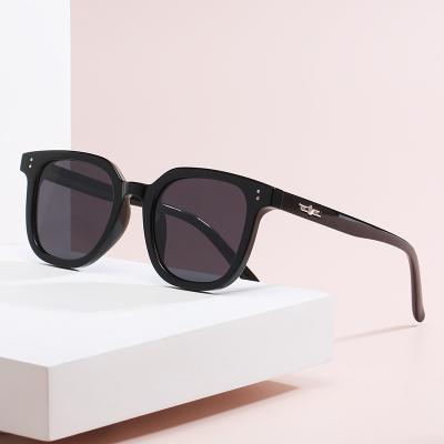 China Fashion Sunglasses Vintage 2022 TR90 Polarized Custom Polarized Light Made Lifestyle Sunglasses For Women for sale