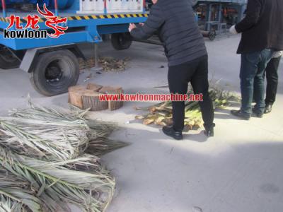 China Recycled Industry Two Axle Palm Branch Shredder for sale