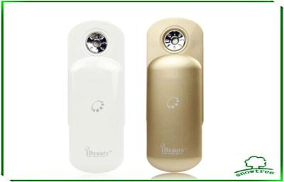 China Hot Sale multifunction Portable Ibeauty Nano Handy Mist for sale