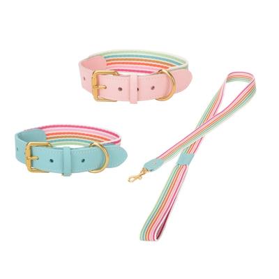 China Custom Stylish Polyester Webbing For Dog Collar And Luxury Nylon Dog Leash Lead Pet Accessories for sale