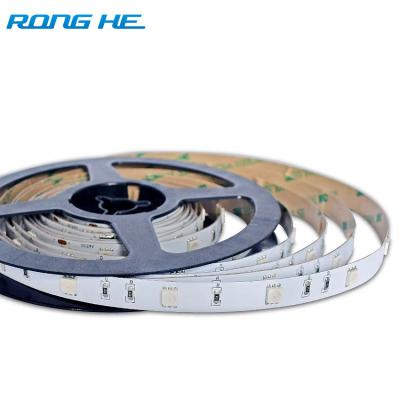 China Theme Park RGB5050 12v 24v 48V 5M Flexible Strip Light For Landscape Decoration led smart strip light for sale