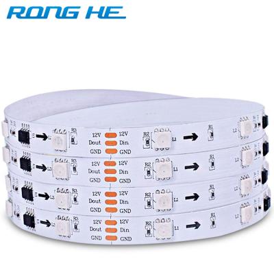 China Outdoor Flexible Theme Park RGB5050 12V 5M Waterproof Landscape Led Strip Light Strip Light for sale