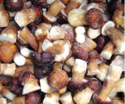 China IQF Whole FROZEN Boletus and Cut Frozen Edulis Mushrooms for sale