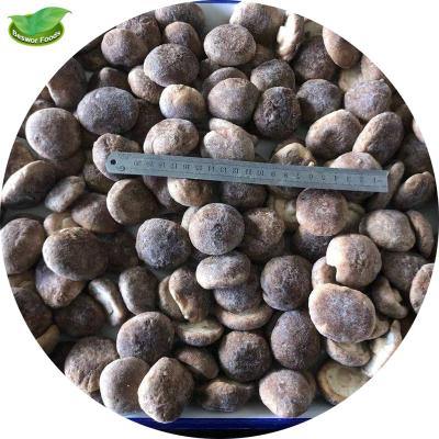 China Factory Supplies IQF Shiitake Mushrooms New Arrival Frozen Shiitake Mushrooms for sale