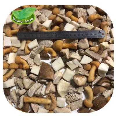 China IQF FROZEN mixed mushroom oyster cut shiitake nameko boletus mushroom edulis mix for sale