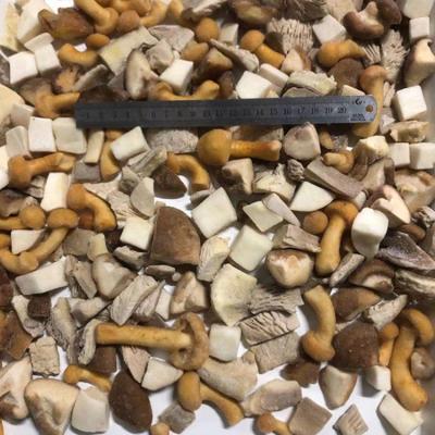 China IQF FROZEN edulis frozen mixed mushroom oyster cut shiitake nameko mixed boletus for sale