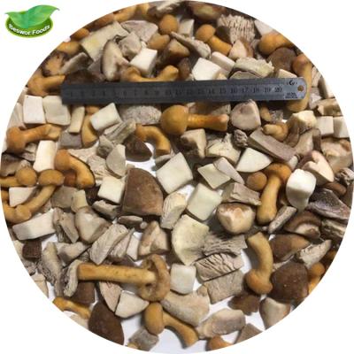 China Hot Sale FROZEN Frozen Mushrooms Mixed with Oyster Mushroom for sale