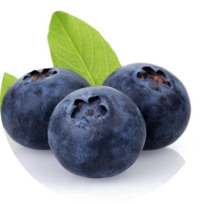 China IQF Frozen Blueberry Frozen Berries Frozen Whole Goods Fruits Prices for sale