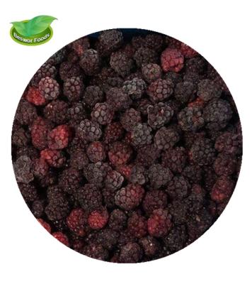 China China IQF Frozen Blackberry Whole Fruit 80/20 for sale