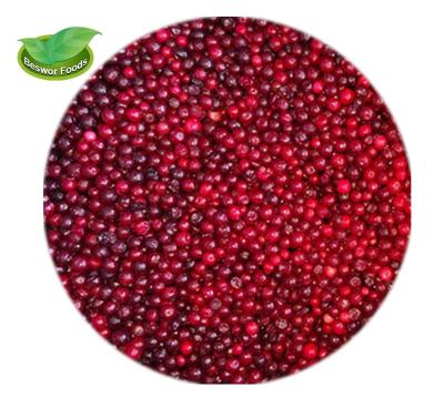 China 2022 IQF FROZEN frozen lingonberry fruits 2021 berry cultivation price good for sale