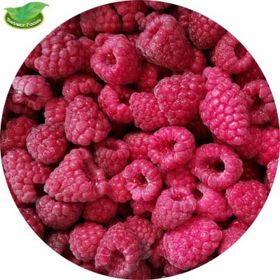 China Best Selling IQF Frozen Berry Raspberry JELLY Whole Jelly For Export for sale