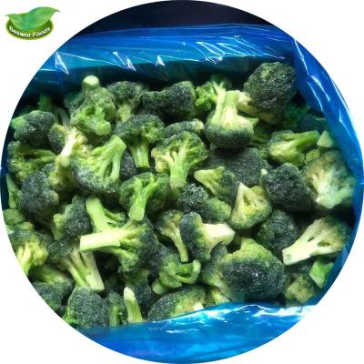 China Wholesale FROZEN bulk fresh frozen broccoli chunks small vegetables iqf for sale