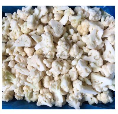 China Wholesale IQF Frozen Cauliflower Sprouts Frozen Vegetables for sale