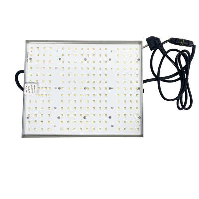 China Seed Starting LED Planting Board For Vertical Agriculture Professional Working Frequency 50-60hz Plant Growth Lighting LED Lights for sale