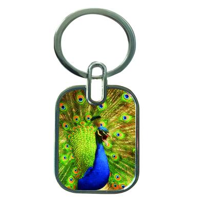 China China Metal or Beautiful Peacock Owl Eagle Acrylic Custom 3D Lenticular Key Chain or 3D Key Chain for sale