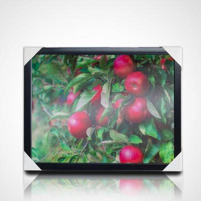 China A1 size deep lenticular 3d effect 3d effect deep lenticular poster for sale