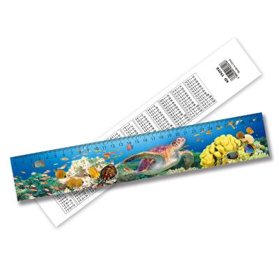 China Customization 3D Eco-Friendly Wholesale Lenticular Ruler Gift Promotional Stationery for sale