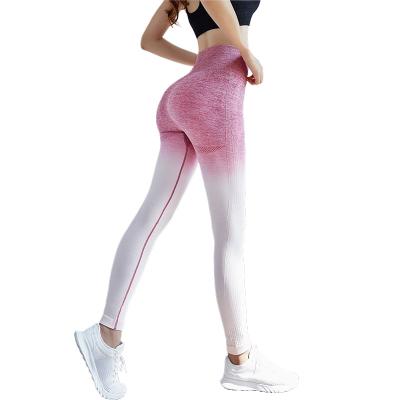 China New High Quality Anti-Static Ombre Gym Gaiters Fitness Yoga Seamless Pants for sale