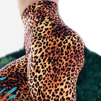 China Wholesale Anti-static Leopard Print Digital Printed Leggings Women Sports Fitness Leggings Yoga Wear for sale